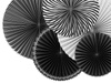 Rozety dekoracyjne Black & White 5 szt.