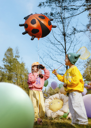 Balon foliowy Biedronka 85x83 cm – idealna dekoracja na Dzień Dziecka