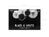 Rozety dekoracyjne Black & White 5 szt.