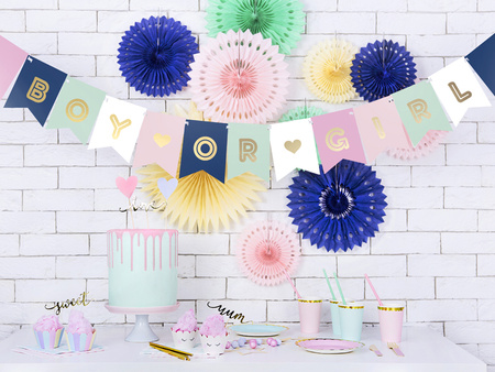 Baner Gender Reveal Boy or Girl 15 x 175 cm