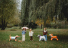 Stojący balon foliowy Buldog, 75x57 cm, mix