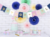 Baner Gender Reveal Boy or Girl 15 x 175 cm