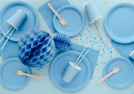 Serwetki papierowe jasny niebieskie 33 x 33 cm 20 szt.