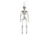 Dekoracja Kościotrup Halloween biała 40 cm