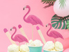 Toppery Aloha - Flamingi, 15-23,5cm (1 op. / 6 szt.)