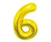 Złoty \ 6