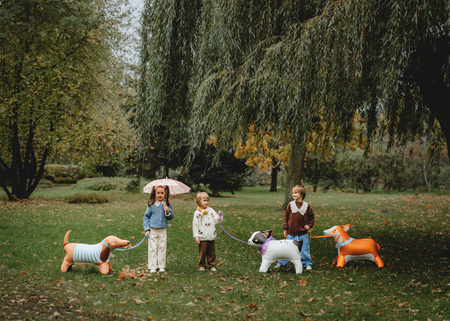 Stojący balon foliowy Corgi, 88x70 cm, mix