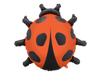 Balon foliowy Biedronka 85x83 cm – idealna dekoracja na Dzień Dziecka