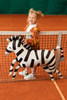 Balon foliowy Zebra 115 x 85 cm
