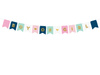 Baner Gender Reveal Boy or Girl 15 x 175 cm