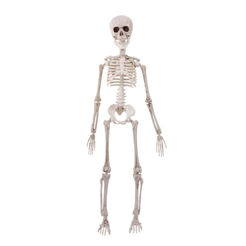 Wiszący szkielet Halloween 50 cm